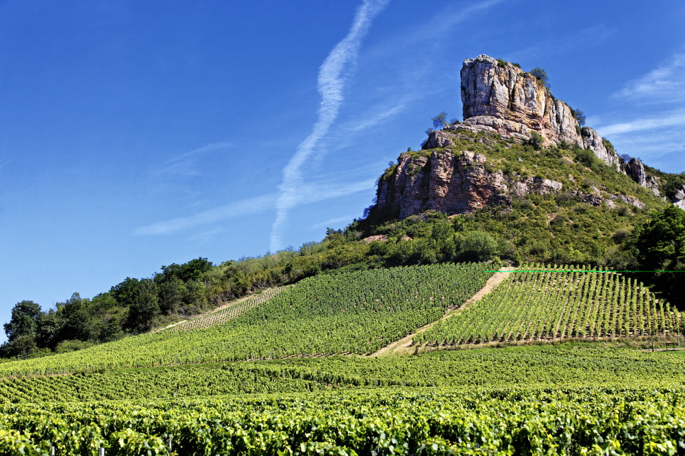 크기변환10 famous solutre rock with vineyards burgundy france