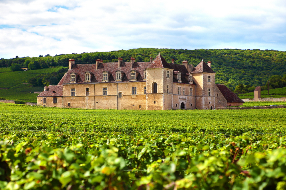 크기변환9 french vineyard chateau